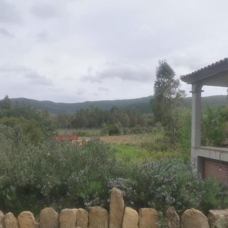 Localita Zarvenu Villa Siniscola Exteriör bild