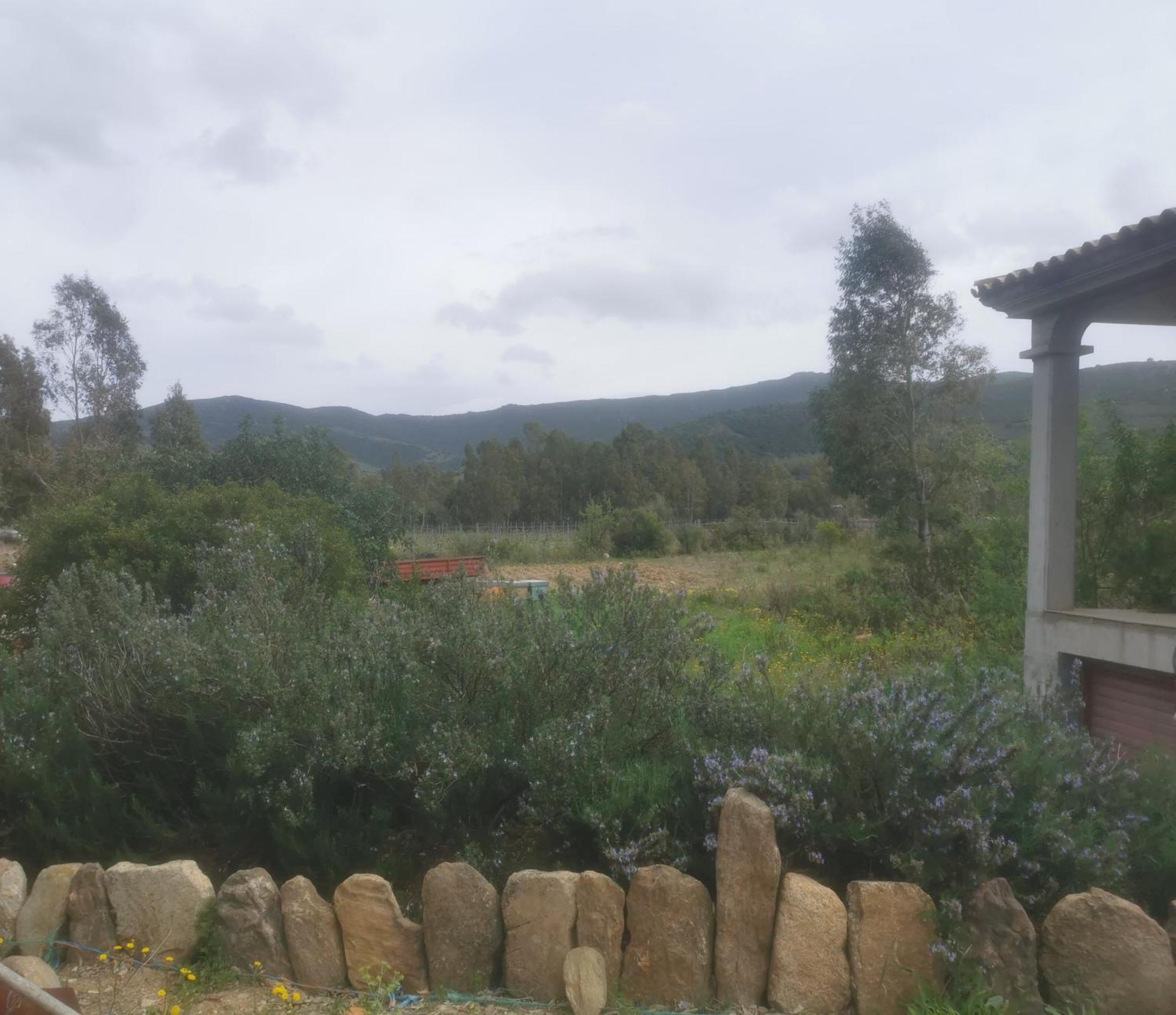 Localita Zarvenu Villa Siniscola Exteriör bild